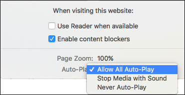 Allow Auto Play menu option